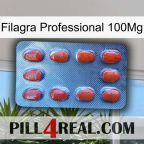 Filagra Professional 100Mg 06